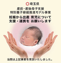 埼玉県『産前・産後母子支援 特別養子縁組推進モデル事業』妊娠から出産育児について 支援・連携をお願いします